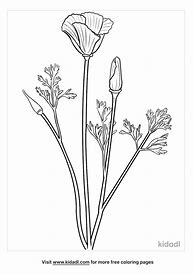 Image result for California Poppy Coloring Page