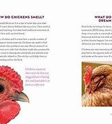 Image result for What Do Chickens Say