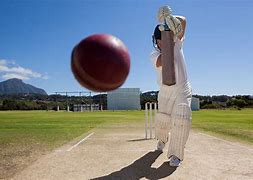 Image result for Spin Ball in Cricket Sign