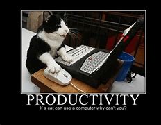 Image result for Productive Day Meme