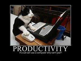 Image result for Funny Memes About Being Busy