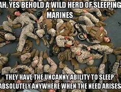 Image result for Marine Dog Meme