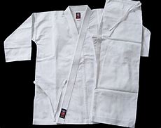 Image result for Ryu Karate GI