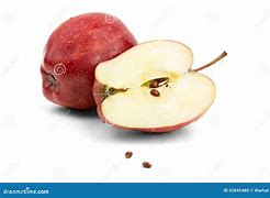 Image result for Red Apple Seeds