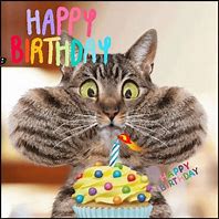 Image result for Funny Happy Birthday with Cats