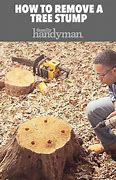 Image result for Killing a Tree Stump