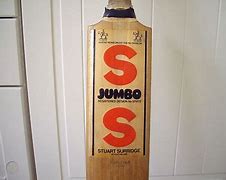Image result for SS Jumbo Cricket Bat