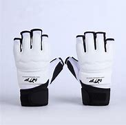 Image result for Karate Taekwondo Gloves