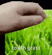Image result for Me and Grass Touching Meme