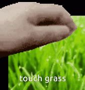 Image result for I Don't Need to Touch Grass I Need Him Dead