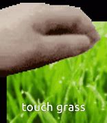 Image result for Go On Touch Grass Meme Ainme