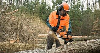 Image result for Logging Tools and Equipment