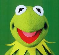 Image result for Kermit Smile
