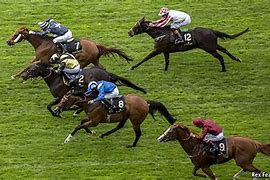 Image result for Horse Race Finishing Line