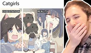Image result for Raging Cat Meme Anime