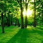 Image result for Nature HD Wallpaper for Android