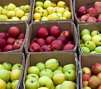 Image result for Box of Apple's