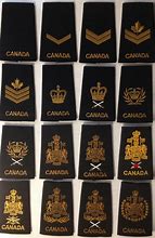 Image result for Canadian Army Rank Insignia