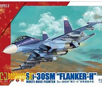 Image result for Jet Fighter Su-30SM