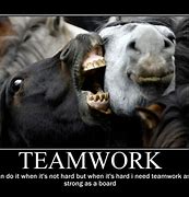 Image result for Funny Teamwork Motivational