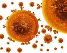 Image result for HIV infection