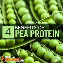 Image result for Pea Protein Powder