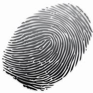 Image result for Fingerprint Clip Art Transparent