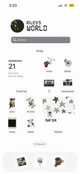 Image result for Aesthetic iPhone Home Screen Layout