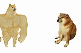 Image result for Strong Doge Weak Doge Nintendo