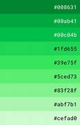Image result for Aesthetic Green Color Palette Hex Codes