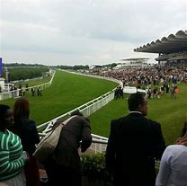 Image result for Goodwood Course