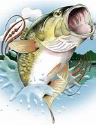 Image result for Bass Fishing Scene Clip Art
