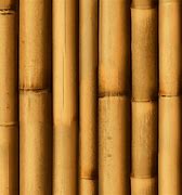 Image result for Bamboo Wall Texture
