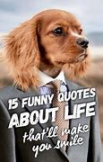 Image result for Silly Quotes About Life