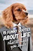 Image result for Funny Things to Say About Life