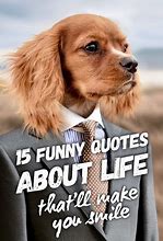 Image result for Jokes About Life