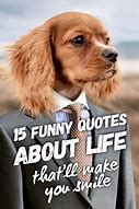Image result for Jokes About Life