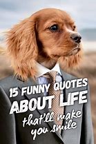 Image result for Crazy Fun Life Quotes