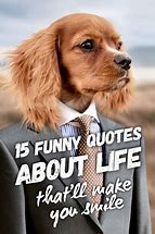 Image result for Life Humor