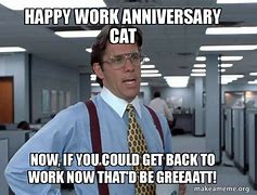 Image result for Happy 7 Work Anniversary Cat Meme