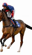 Image result for Horse Racing Betting Software