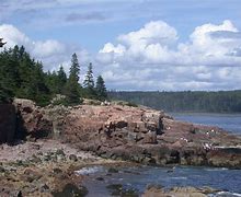 Image result for Lorne Michaels Maine