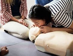 Image result for CPR Cycle Clip Art