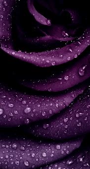 Image result for iPhone Purple Lock Screen