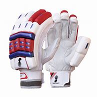 Image result for Cricket Gloves