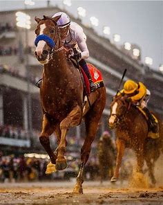 Justify. Mike Smith, Jockey.  2018 Triple Crown winner. | Kentucky derby horses, Derby horse, Horses
