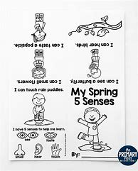 Image result for 5 Senses Book