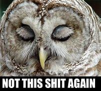 Image result for Owl Morning Funny Memes