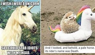 Image result for Best Unicorn Meme