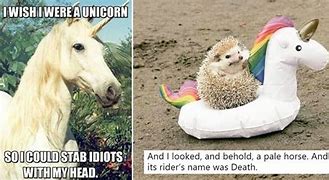 Image result for Types of Unicorn Meme